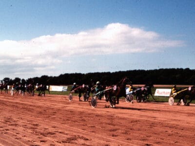 L'hippodrome de Cherbourg