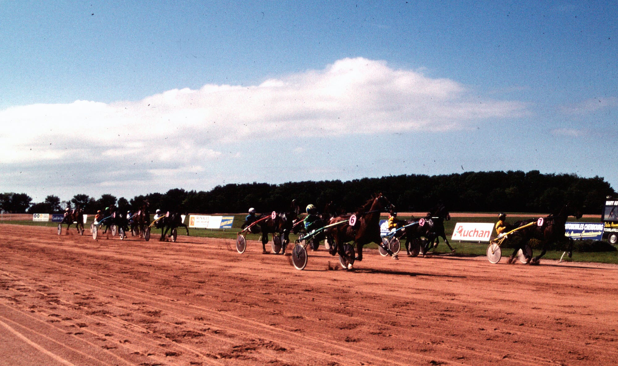 L'hippodrome de Cherbourg - Cheval du Jour - 24/06/2026