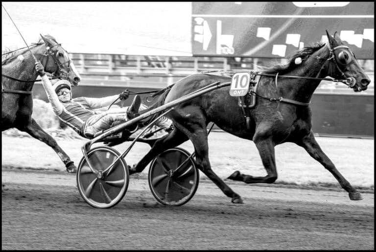 « Gaspar d&rsquo;Angis est en grande forme »