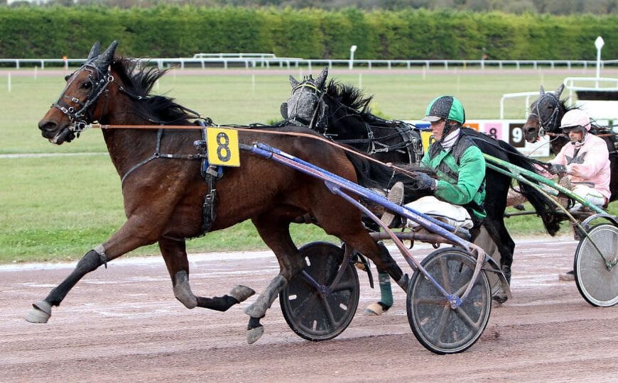 Le Cheval du jour – 19/09/2024