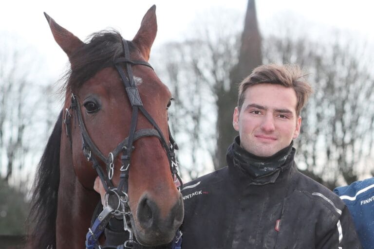 Focus sur Lisieux, nos chevaux préférés !