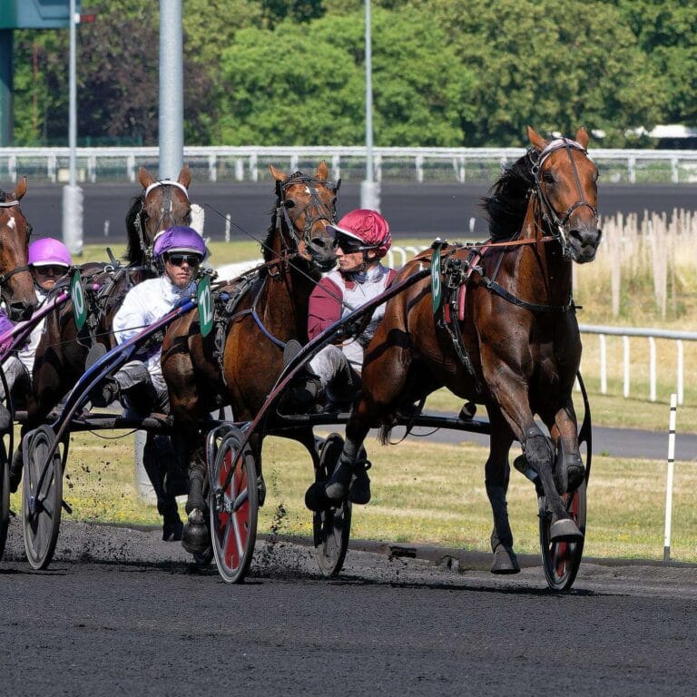 Koctel du Dain - crédits photo Scoopdyga