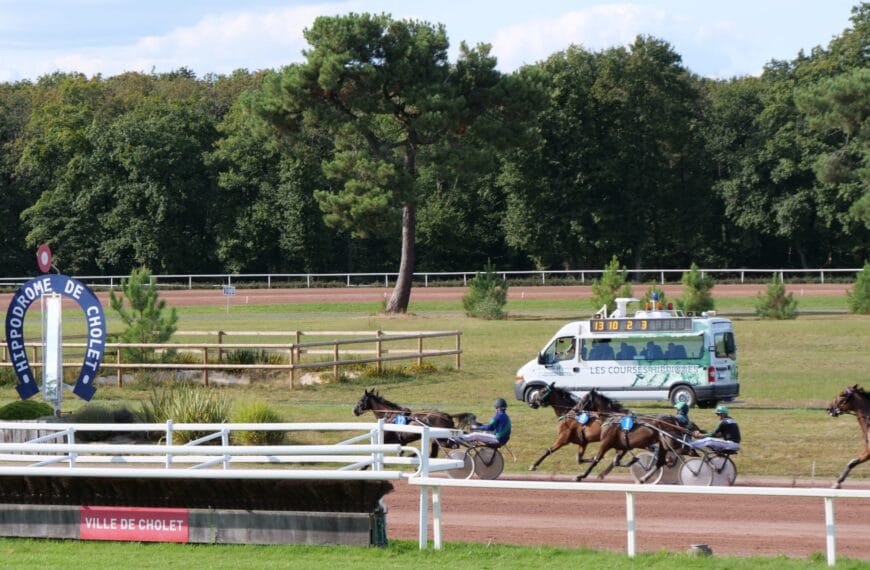 Notre sélection de chevaux à suivre (R3 : Cholet)