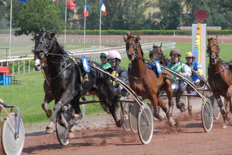Une course sur l'hippodrome de Beaumont-de-Lomagne - Source : tourisme-en-lomagne.com