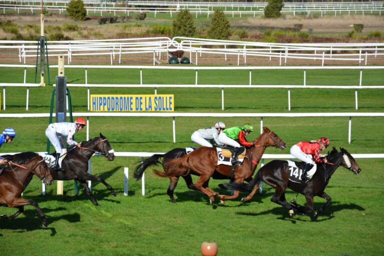 Une course sur l'Hippodrome de Fontainebleau - Crédit photo : Suravol