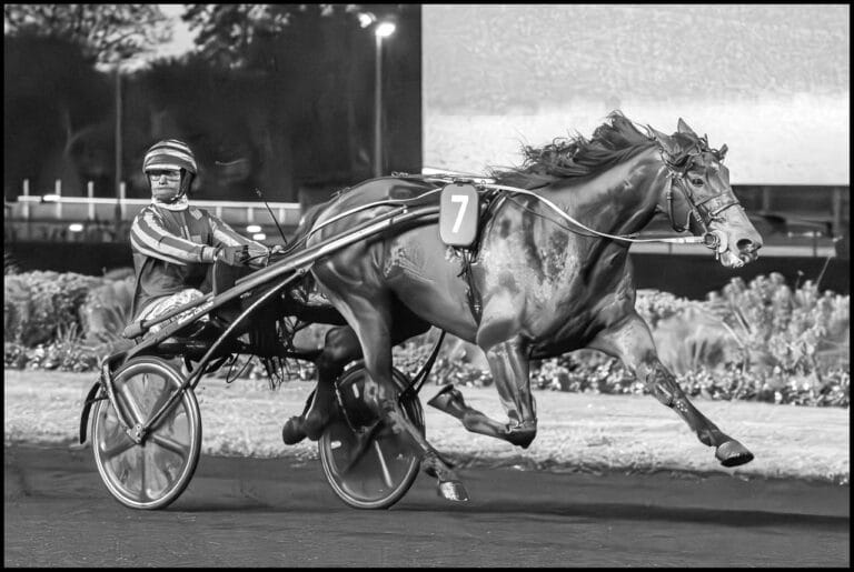 Idao de Tillard - crédits photo Frédérique Guin Laurent