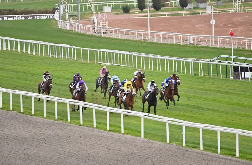 Le Cheval du Jour – 04/02/2026