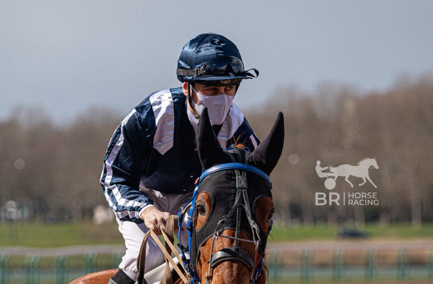 Le Cheval du Jour – 17/02/2025