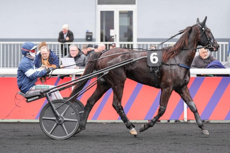 Direction Vincennes, notre sélection de ce Mardi