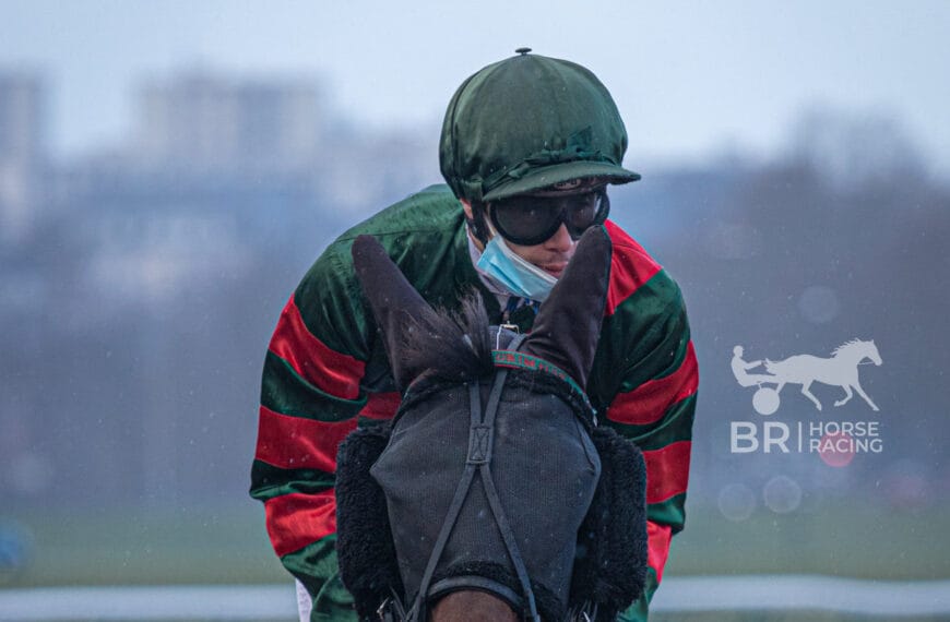 Le Cheval du Jour – 06/02/2025