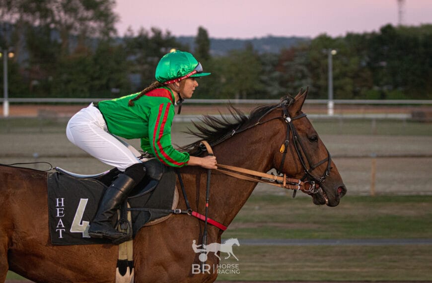 Le Cheval du Jour – 12/03/2025