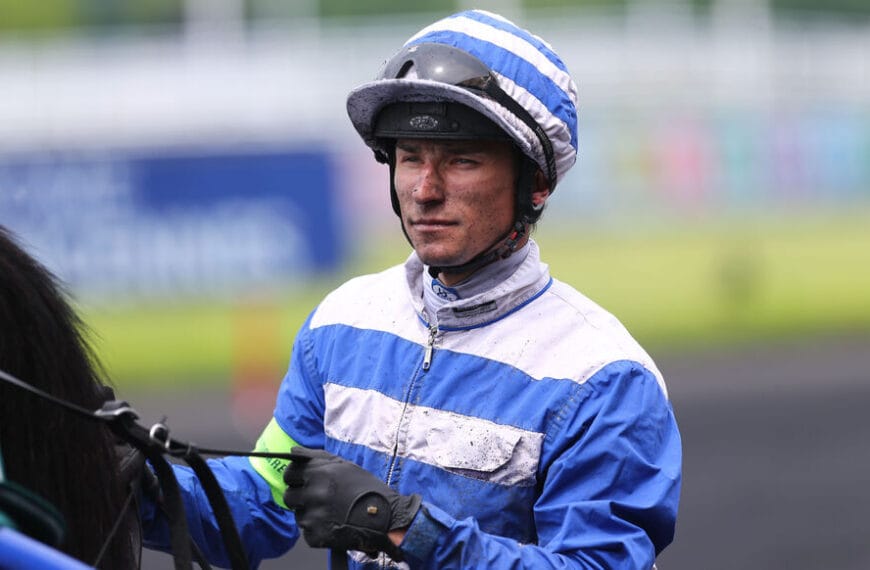 Le Cheval du Jour – 15/02/2026