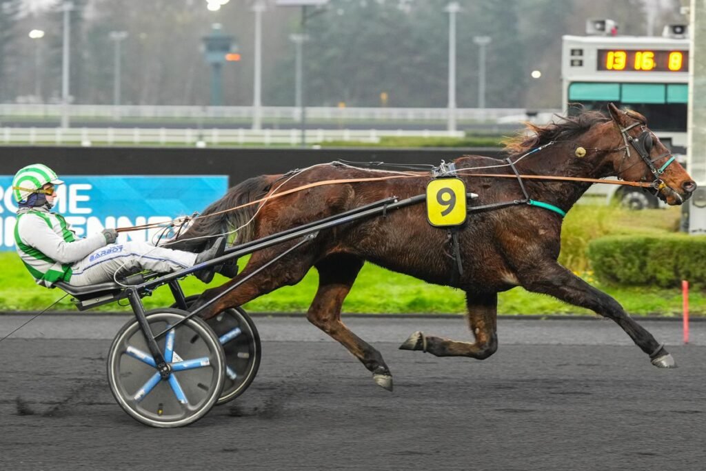 Victoire de Mister Donald dans le meeting de Vincennes