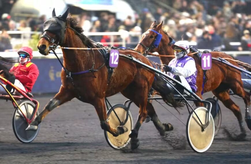 Rouen-Mauquenchy, nos pronostics de ce Jeudi
