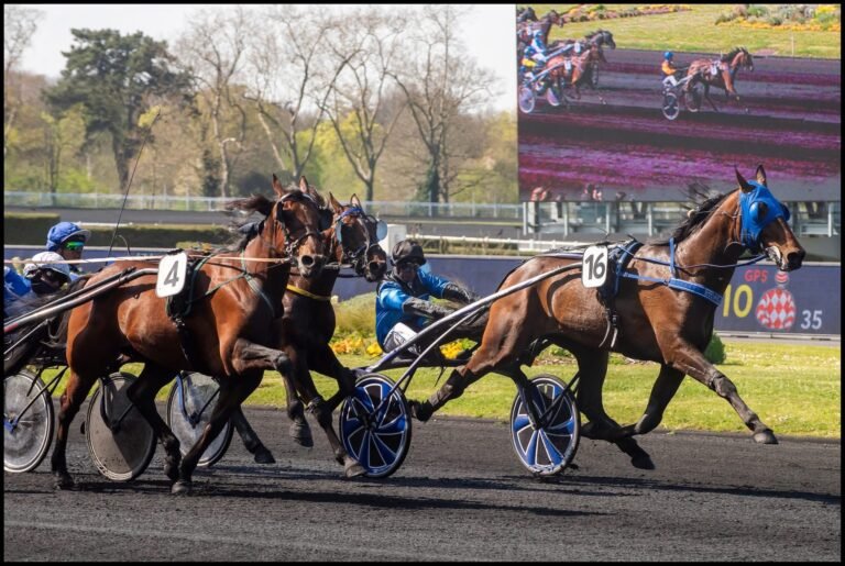 Prix de l’Atlantique : Rendez-vous d’exception ce samedi !