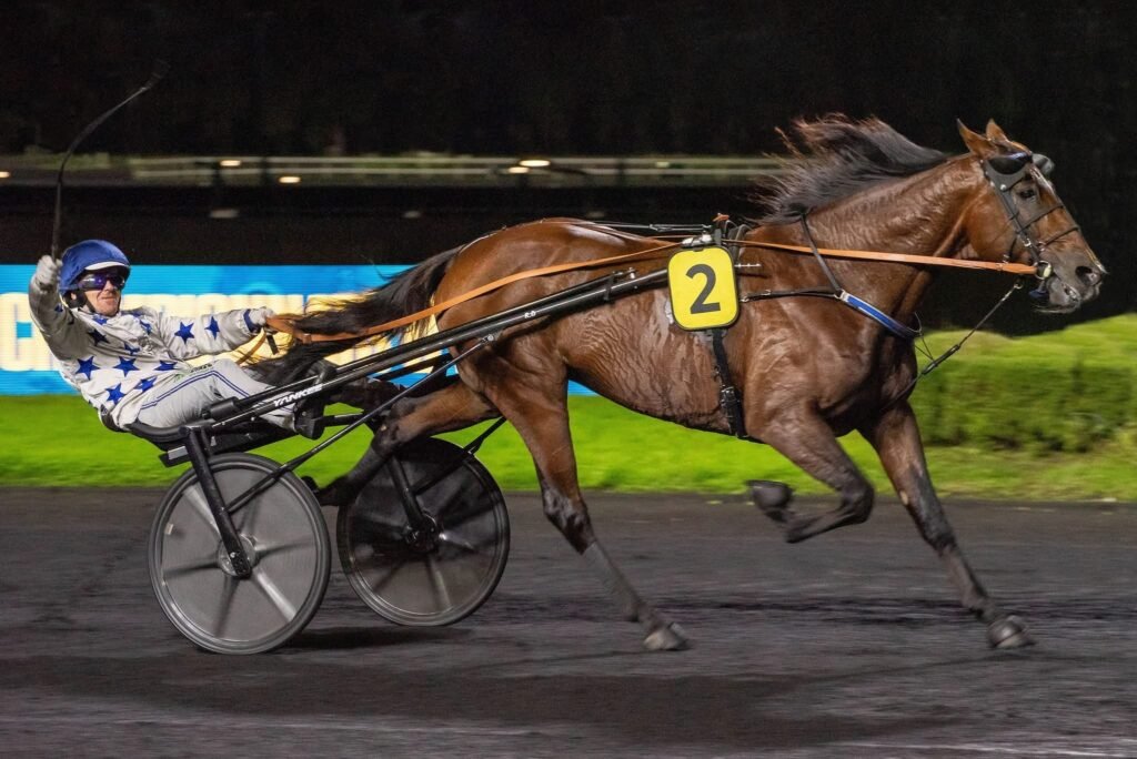 Go On Boy pour son premier Prix de l’Atlantique ?