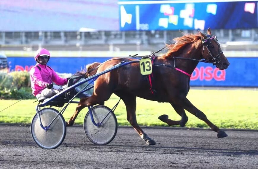 Le Cheval du Jour – 23/04/2025