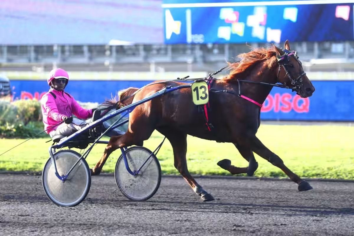 Imhotep Fromentro - Cheval du Jour - 23/04/2025 - ManuTurf