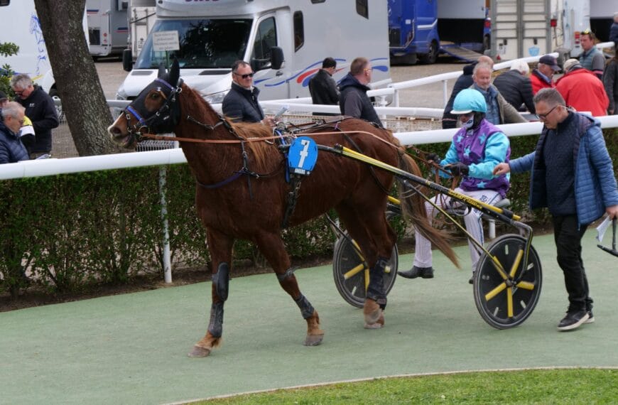 Kong au rond de présentation à Angers