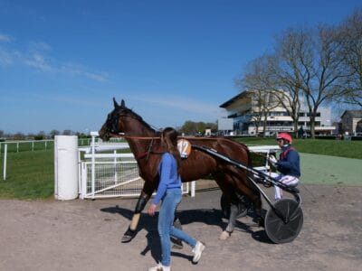 Madison Seven au rond de présentation à Angers