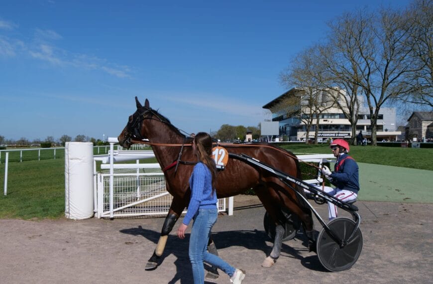 Madison Seven au rond de présentation à Angers