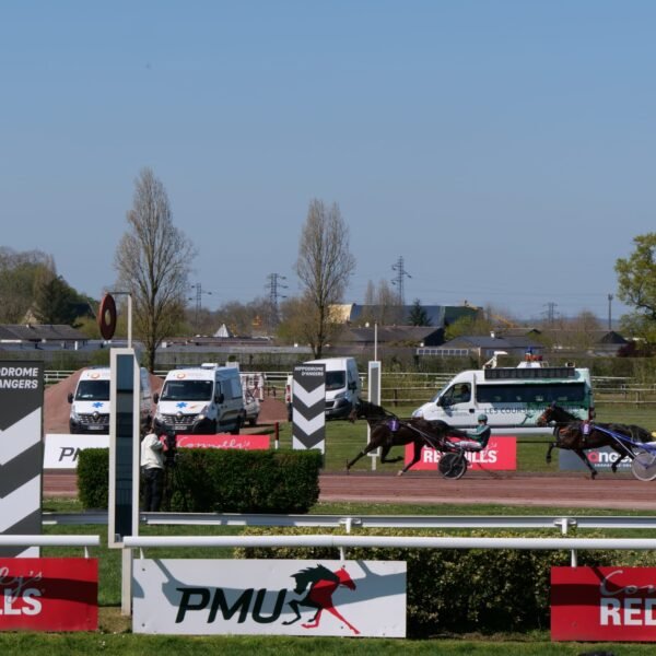 Notre sélection de chevaux à suivre (R3 : Angers)