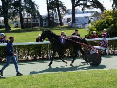 Indy Dark au rond de présentation à Angers