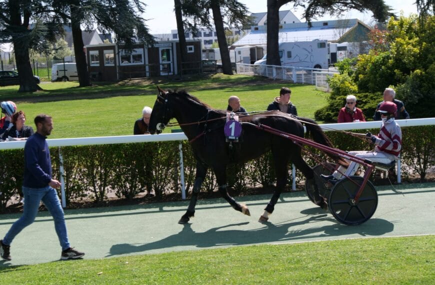 Indy Dark au rond de présentation à Angers