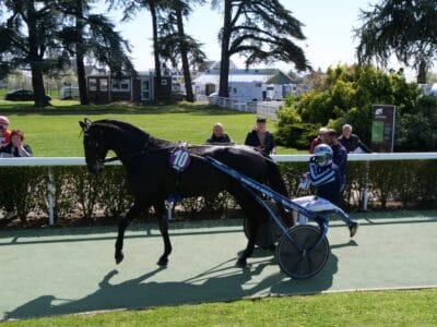 Iguski Sautonne au rond de présentation à Angers