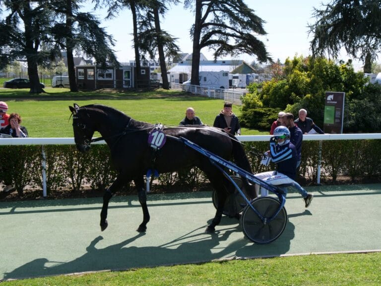 Iguski Sautonne au rond de présentation à Angers