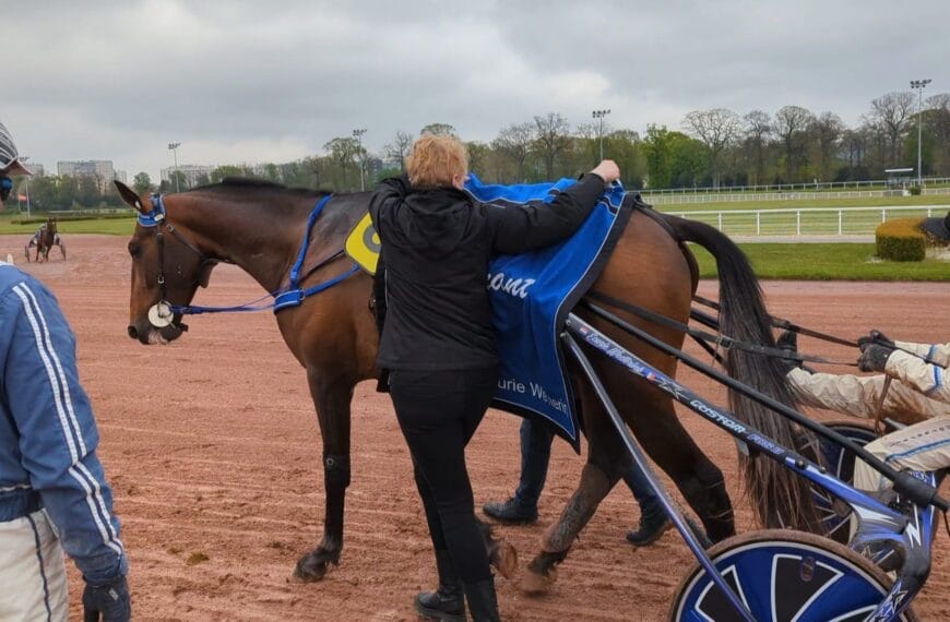 Le Cheval du Jour – 19/04/2025