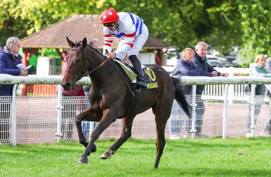 Le Cheval du Jour – 07/04/2025