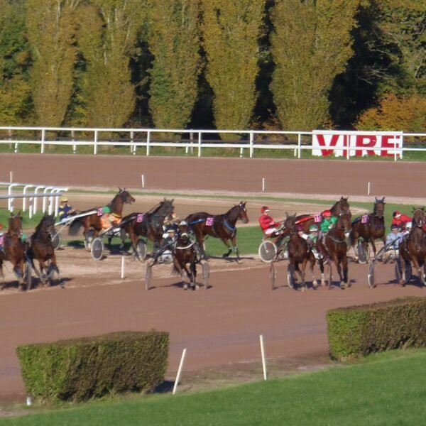 Nos choix pour la réunion de Vire (R3)