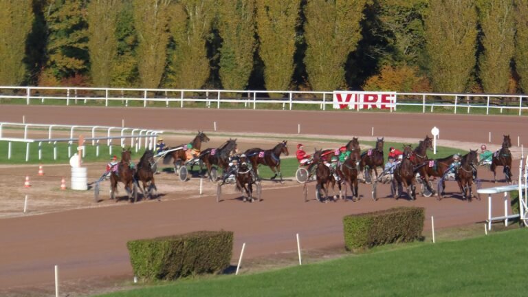 Nos choix pour la réunion de Vire (R3)