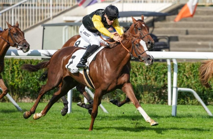 Le Cheval du Jour – 28/05/2025