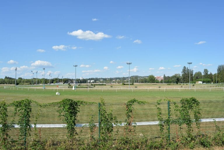 L'hippodrome de Vichy vue d'ensemble - Crédits : Tabl-trai
