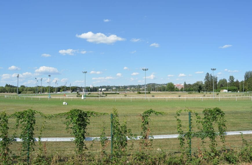 L'hippodrome de Vichy vue d'ensemble - Crédits : Tabl-trai