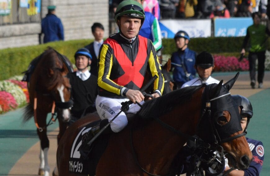 Le Cheval du Jour – 13/11/2025