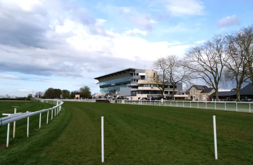 Le Cheval du Jour – 20/05/2025