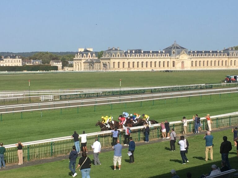 Le Cheval du Jour – 03/03/2026