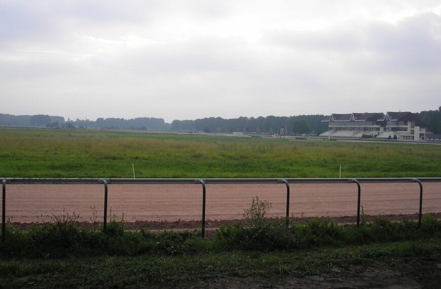 Le Cheval du Jour – 11/06/2025