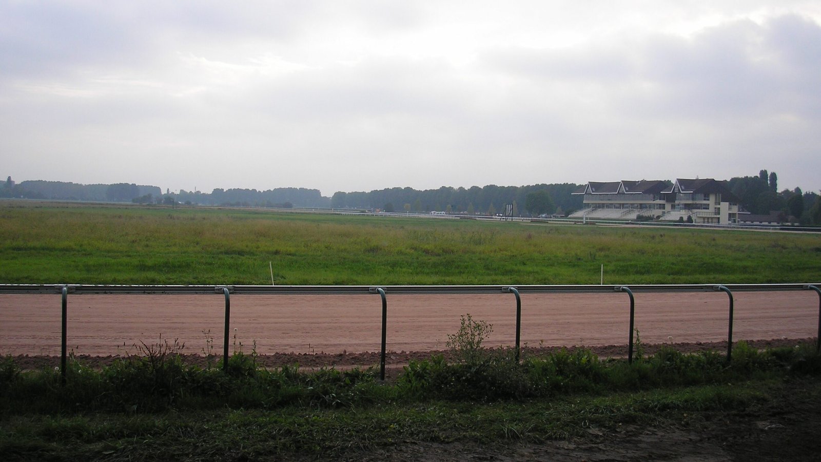 Cheval du Jour - 11/06/2025 - Hippodrome de Caen - ManuTurf