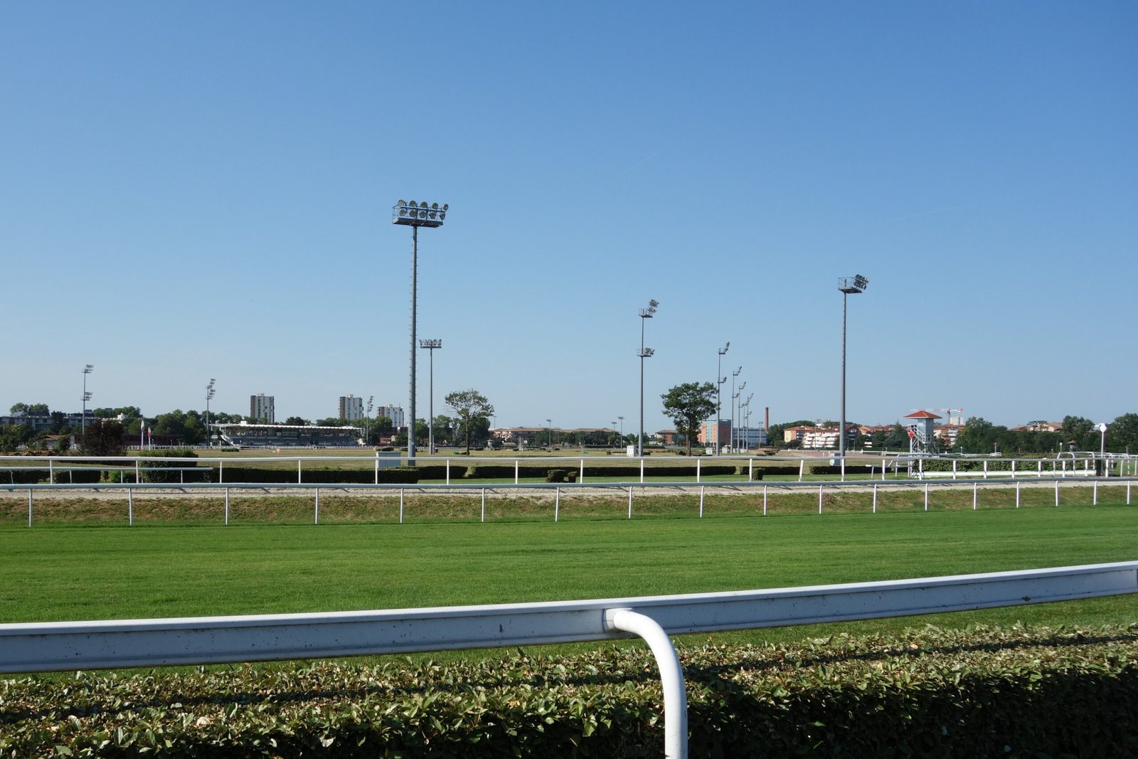 Hippodrome de Toulouse - Cheval du Jour - 18/06/2025 - ManuTurf