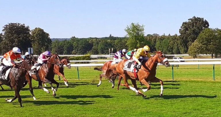 L’Handicapeur a tranché, Compiègne l’emporte (Pronostics du 01/04/2026)