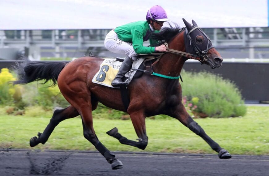 Le Cheval du Jour – 22/06/2025