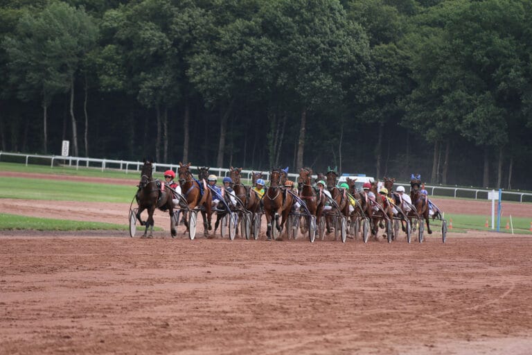Une course sur l'hippodrome de Châteaubriant - Crédits : Mairie de Châteaubriant