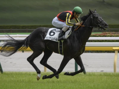 Croix du Nord - Crédits photo : Chabata k