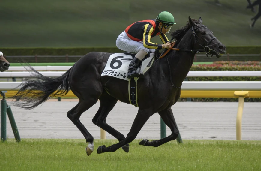 Croix du Nord - Crédits photo : Chabata k