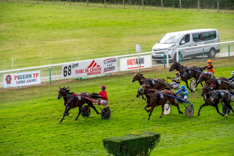 Une course de trot sur l'hippodrome de Craon