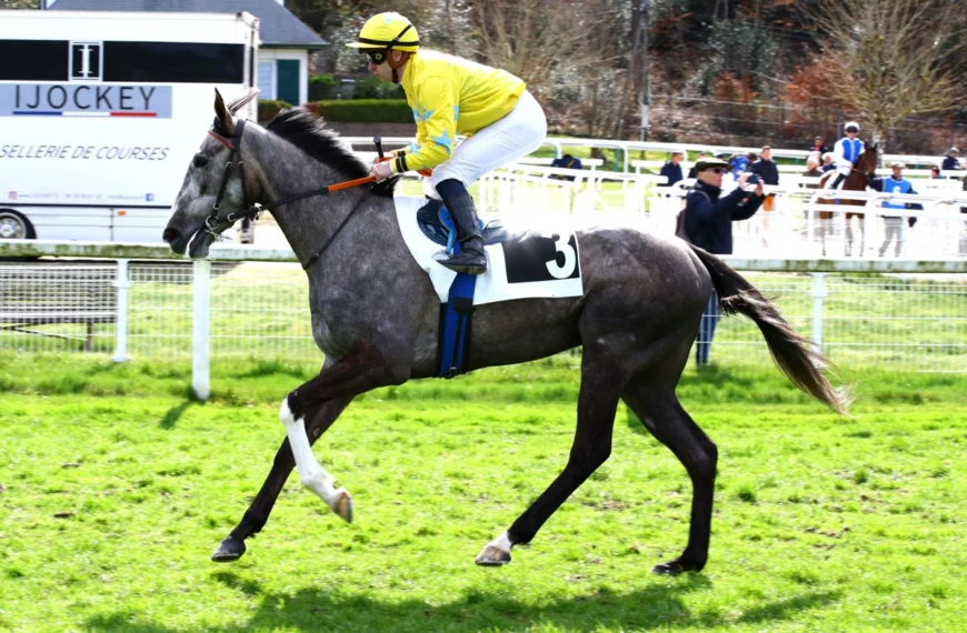 Le Cheval du Jour – 27/09/2025